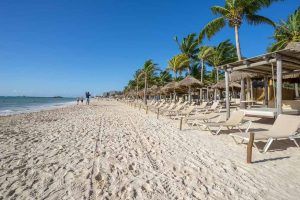 Playa del Carmen: Guia completo da cidade Playa del Carmen: Guia completo da cidade