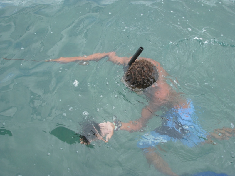 Mergulhador devolvendo o ouriço do mar à água