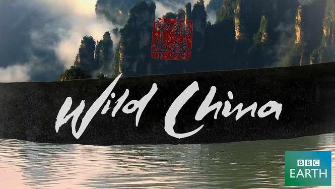 documentário-de-viagem-wild-china