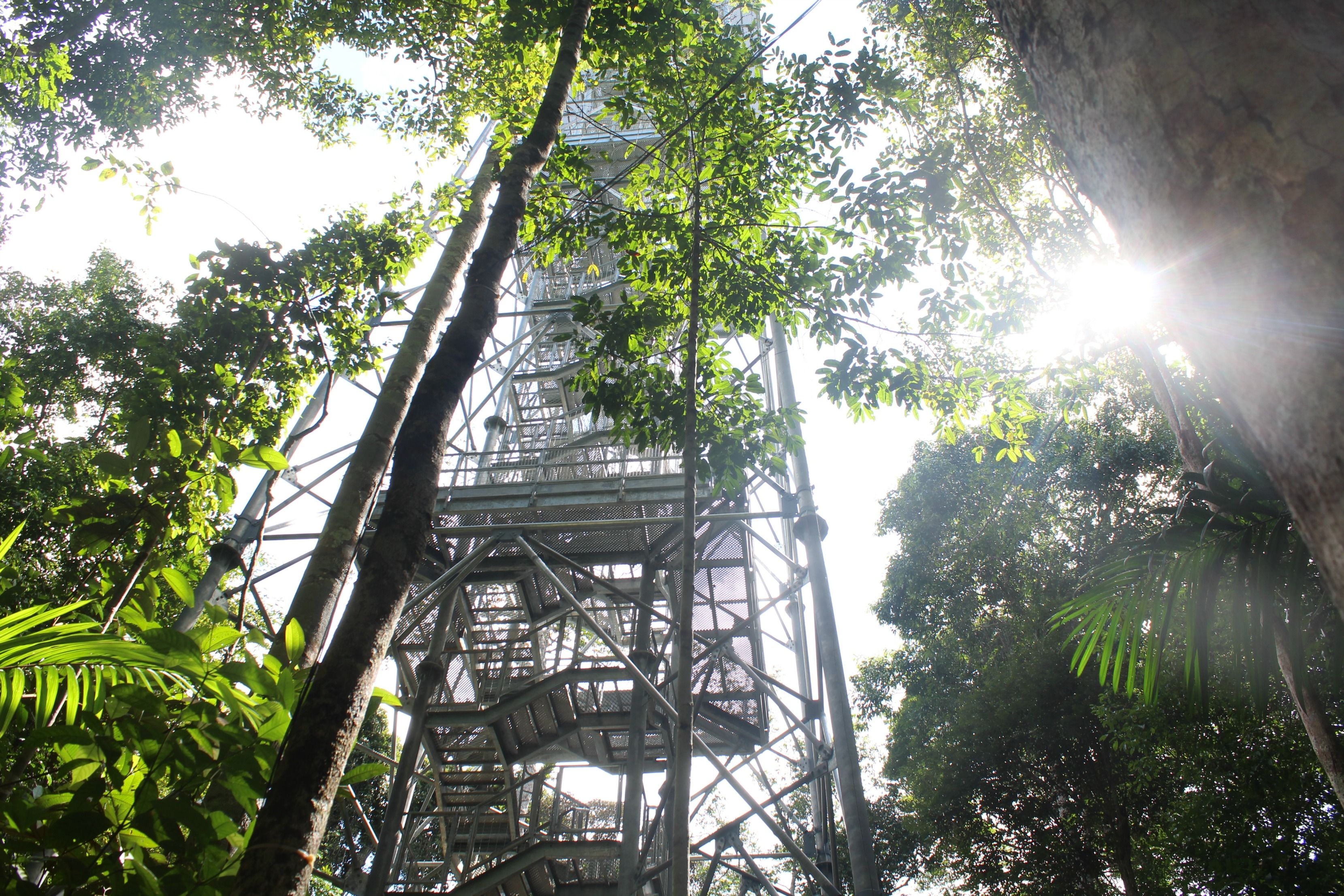torre do Musa Manaus 