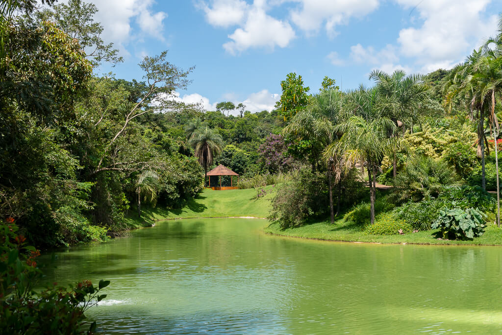 o que fazer em inhotim - o que visitar