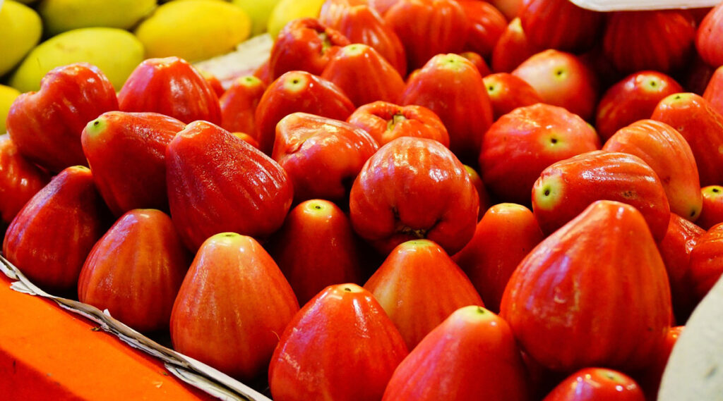 jambo frutas típicas - pratos típicos do maranhão