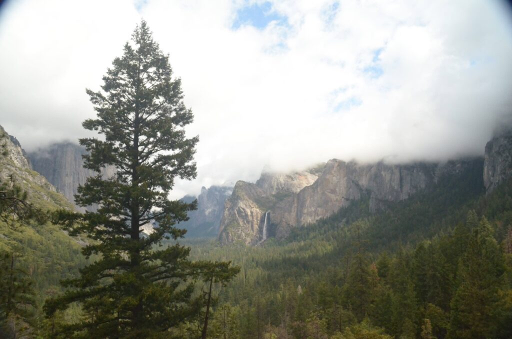 yosemite parque - estados unidos - california - um dos destinos desejados após a quarentena no méxico