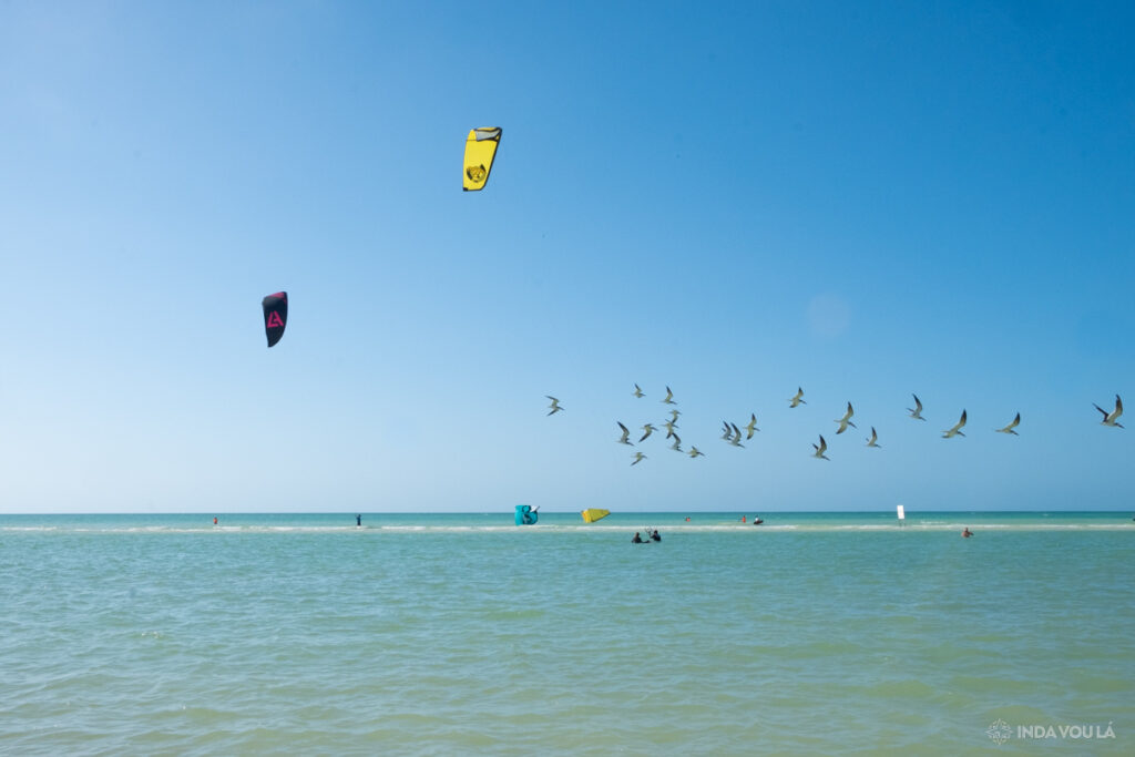 Kite surfing em holbox