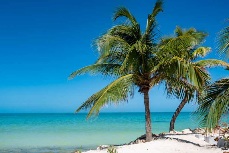 holbox - lugar para fazer quarentena no mexico