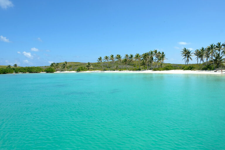 Ilha Contoy - Cancun - México - 1