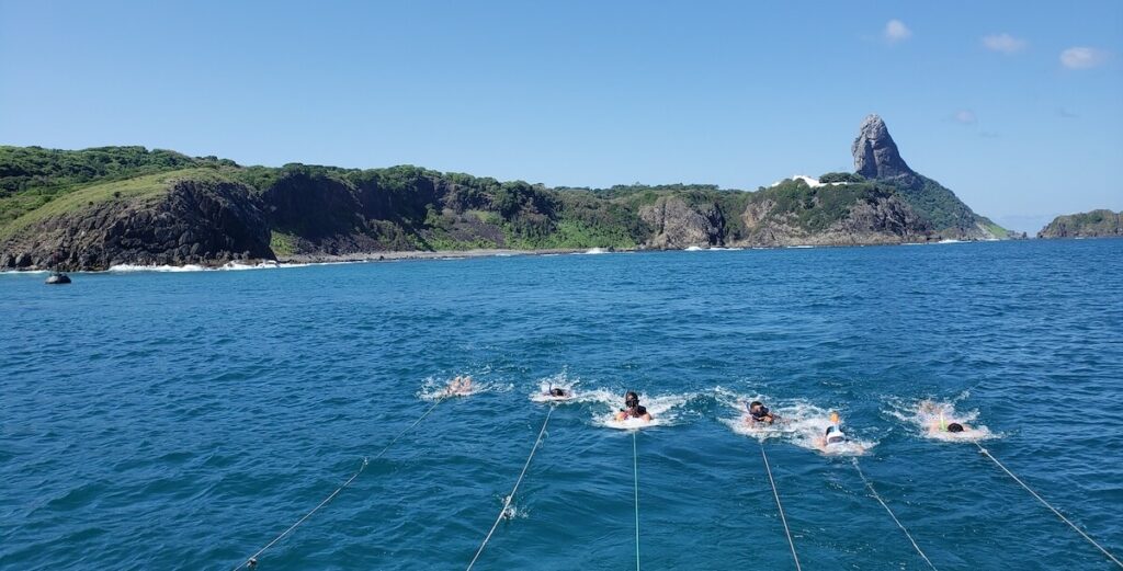 Passeio de Barco com Prancha Sub em Fernando de Noronha