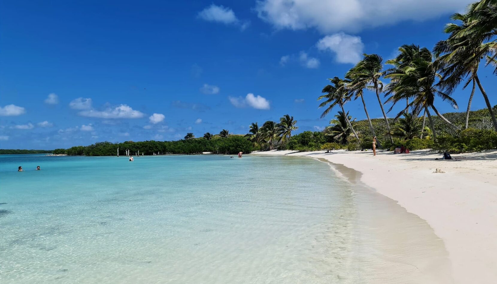 ilha contoy, um dos lugares mais lindos que já visitei