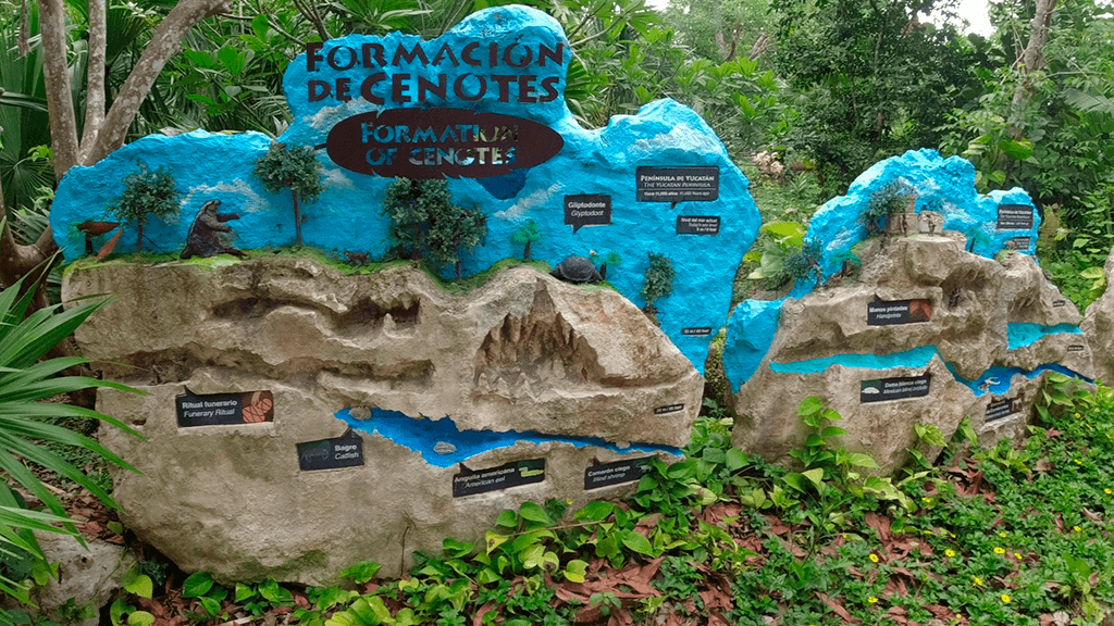 Formação dos Cenotes no México. Arte do Grupo Xcaret.