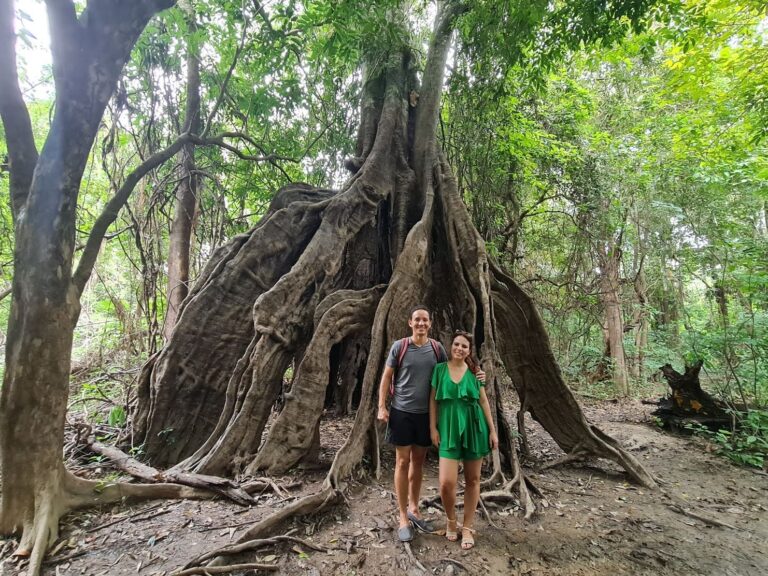 casal panda em Manaus