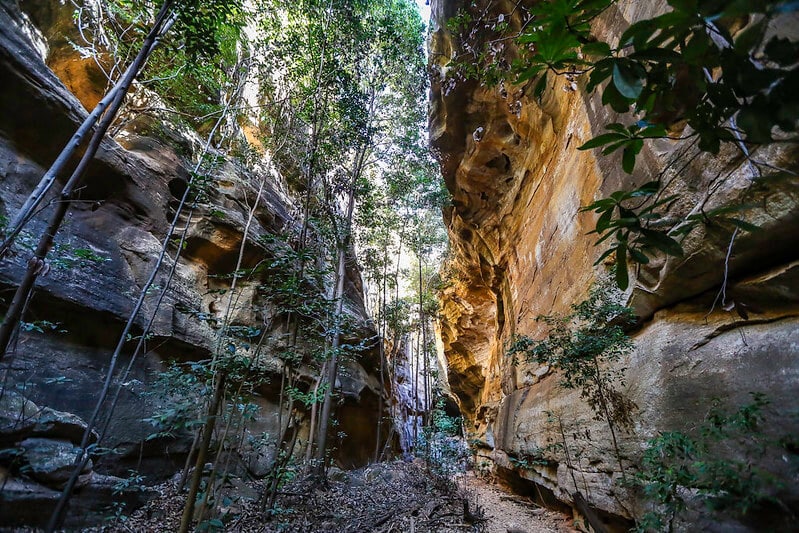 O que fazer no Piaui. Ecoturismo.