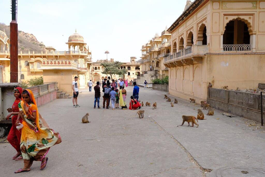 Templo dos Macacos em Jaipur