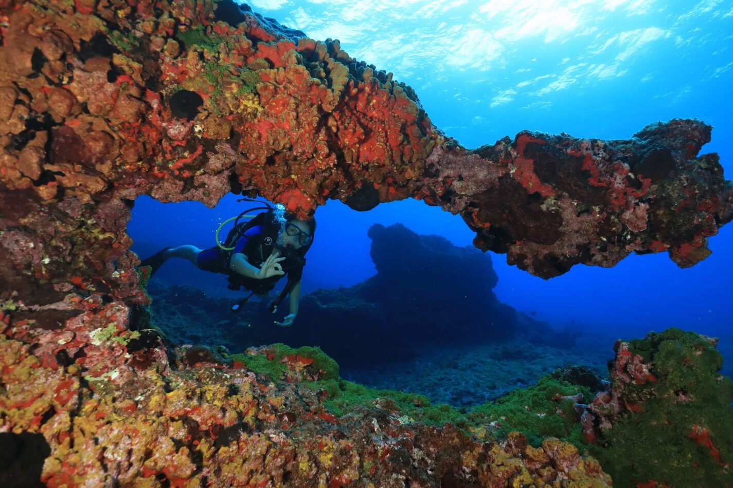 mergulho em fernando de noronha