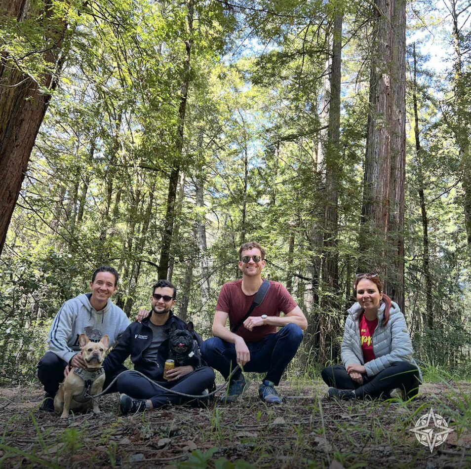 Floresta de Sequoias